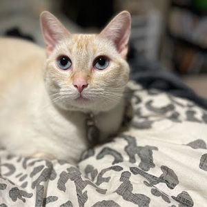 Meet your Posher, Mara